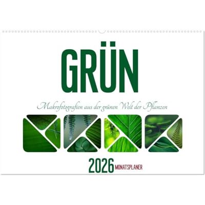 CALVENDO Grün Makrofotografien aus der grünen Welt der Pflanzen als Monatsplaner (Wandkalender 2026 DIN A2 quer), Monatskalender: Die Farbe Gün steht ... Klarheit und Frische. ( Natur) CALVENDO Grün Makrofotografien aus der grünen Welt der Pflanzen als Monatsplaner (Wandkalender 2026 DIN A2 quer), Monatskalender: Die Farbe Gün steht ... Klarheit und Frische. ( Natur)