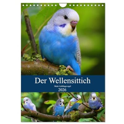 CALVENDO Der Wellensittich Mein Lieblingsvogel (Wandkalender 2026 DIN A4 hoch), Monatskalender: Der neue Wellensittichkalender vom kleinen ... und aussagekräftig! ( Tiere) CALVENDO Der Wellensittich Mein Lieblingsvogel (Wandkalender 2026 DIN A4 hoch), Monatskalender: Der neue Wellensittichkalender vom kleinen ... und aussagekräftig! ( Tiere)
