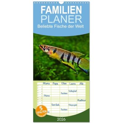 CALVENDO Familienplaner 2026 Beliebte Fische der Welt mit 5 Spalten (Wandkalender, 21 cm x 45 cm), : Farbenprächtige Süßwasserfische ( Hobbys) CALVENDO Familienplaner 2026 Beliebte Fische der Welt mit 5 Spalten (Wandkalender, 21 cm x 45 cm), : Farbenprächtige Süßwasserfische ( Hobbys)
