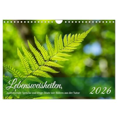 CALVENDO Lebensweisheiten, motivierende Sprüche und kluge Zitate mit Bildern der Natur (Wandkalender 2026 DIN A4 quer), Monatskalender: Mit ... Impusen durchs Jahr. ( Natur) CALVENDO Lebensweisheiten, motivierende Sprüche und kluge Zitate mit Bildern der Natur (Wandkalender 2026 DIN A4 quer), Monatskalender: Mit ... Impusen durchs Jahr. ( Natur)