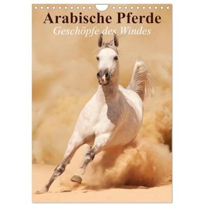 CALVENDO Arabische Pferde • Geschöpfe des Windes (Wandkalender 2026 DIN A4 hoch), Monatskalender: Die edlen Pferde der arabischen Wüste ( Tiere) CALVENDO Arabische Pferde • Geschöpfe des Windes (Wandkalender 2026 DIN A4 hoch), Monatskalender: Die edlen Pferde der arabischen Wüste ( Tiere)