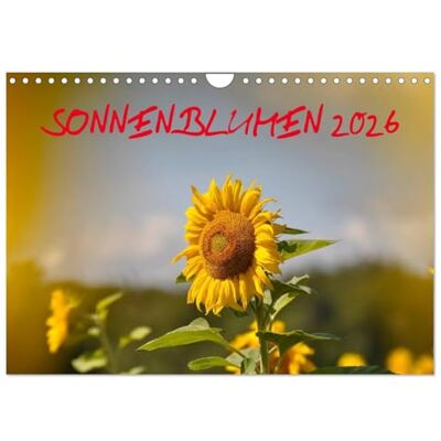 CALVENDO Sonnenblumen 2026 (Wandkalender 2026 DIN A4 quer), Monatskalender: 13 Motive mit Sonnenblumen ( Natur) CALVENDO Sonnenblumen 2026 (Wandkalender 2026 DIN A4 quer), Monatskalender: 13 Motive mit Sonnenblumen ( Natur)