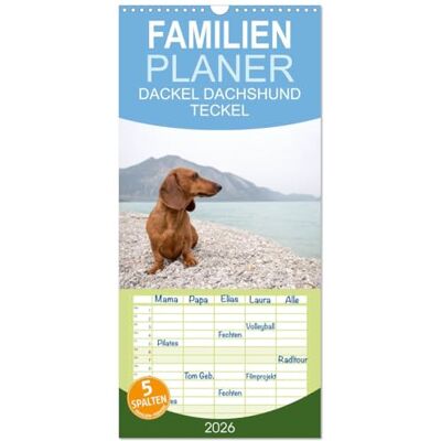 CALVENDO Familienplaner 2026 DACKEL DACHSHUND TECKEL 2026 mit 5 Spalten (Wandkalender, 21 cm x 45 cm), : Mit dem Dackel durch's Jahr ( Tiere) CALVENDO Familienplaner 2026 DACKEL DACHSHUND TECKEL 2026 mit 5 Spalten (Wandkalender, 21 cm x 45 cm), : Mit dem Dackel durch's Jahr ( Tiere)