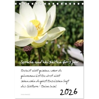 CALVENDO Sprüche und Weisheiten für´ s Jahr (Tischkalender 2026 DIN A5 hoch), Monatskalender: Blumen und Sprüche ( Natur) CALVENDO Sprüche und Weisheiten für´ s Jahr (Tischkalender 2026 DIN A5 hoch), Monatskalender: Blumen und Sprüche ( Natur)