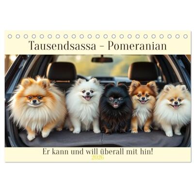 CALVENDO Tausendsassa Pomeranian (Tischkalender 2026 DIN A5 quer), Monatskalender: Er kann und will überall mit hin! ( Tiere) CALVENDO Tausendsassa Pomeranian (Tischkalender 2026 DIN A5 quer), Monatskalender: Er kann und will überall mit hin! ( Tiere)