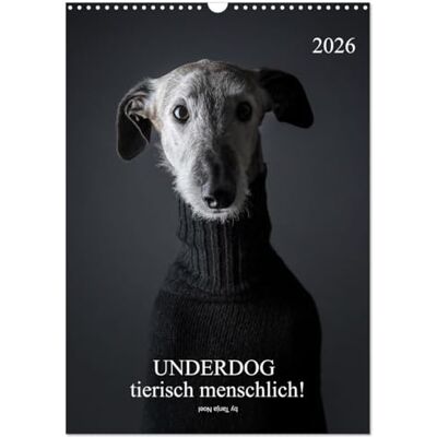 CALVENDO UNDERDOG Windhundportraits (Wandkalender 2026 DIN A3 hoch), Monatskalender: tierisch menschlich! ( Tiere) CALVENDO UNDERDOG Windhundportraits (Wandkalender 2026 DIN A3 hoch), Monatskalender: tierisch menschlich! ( Tiere)