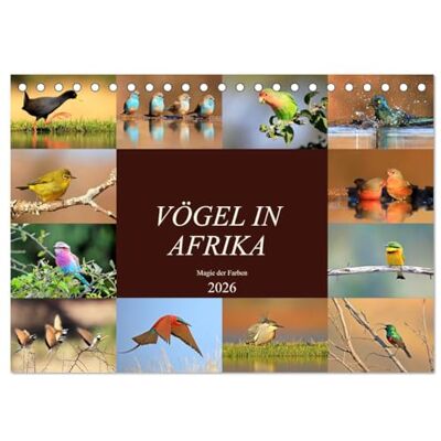 CALVENDO Vögel in Afrika Magie der Farben (Tischkalender 2026 DIN A5 quer), Monatskalender: Afrika auch ein Vogelparadies! ( Tiere) CALVENDO Vögel in Afrika Magie der Farben (Tischkalender 2026 DIN A5 quer), Monatskalender: Afrika auch ein Vogelparadies! ( Tiere)