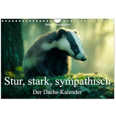 CALVENDO Stur, stark, sympathisch Der Dachs Kalender (Wandkalender 2026 DIN A4 quer), Monatskalender: Der Dachs Kalender! Ein Jahr mit dem wahren König des Waldes! ( Tiere) CALVENDO Stur, stark, sympathisch Der Dachs Kalender (Wandkalender 2026 DIN A4 quer), Monatskalender: Der Dachs Kalender! Ein Jahr mit dem wahren König des Waldes! ( Tiere)