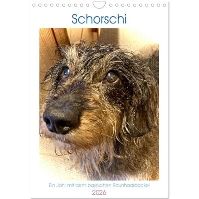 CALVENDO Schorschi – Ein Jahr mit dem bayrischen Rauhhaardackel (Wandkalender 2026 DIN A4 hoch), Monatskalender: Entdecken Sie die charmante Welt des Rauhhaardackels namens Schorschi! ( Tiere) CALVENDO Schorschi – Ein Jahr mit dem bayrischen Rauhhaardackel (Wandkalender 2026 DIN A4 hoch), Monatskalender: Entdecken Sie die charmante Welt des Rauhhaardackels namens Schorschi! ( Tiere)