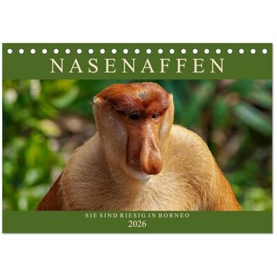 CALVENDO Nasenaffen von Borneo (Tischkalender 2026 DIN A5 quer), Monatskalender: Das aufregende Leben der Nasenaffen in Borneo ( Tiere) CALVENDO Nasenaffen von Borneo (Tischkalender 2026 DIN A5 quer), Monatskalender: Das aufregende Leben der Nasenaffen in Borneo ( Tiere)