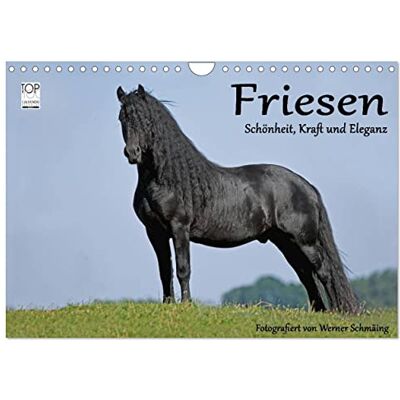 CALVENDO Friesen Schönheit, Kraft und Eleganz (Wandkalender 2026 DIN A4 quer), Monatskalender: Friesenpferde die edle Pferderasse ( Tiere) CALVENDO Friesen Schönheit, Kraft und Eleganz (Wandkalender 2026 DIN A4 quer), Monatskalender: Friesenpferde die edle Pferderasse ( Tiere)