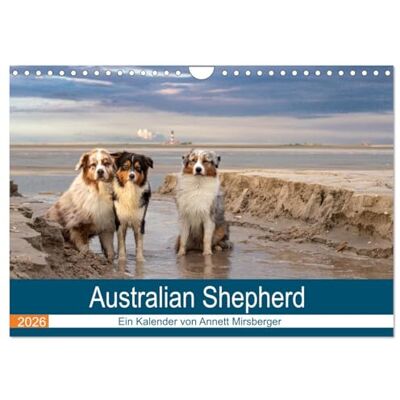 CALVENDO Australian Shepherd 2026 (Wandkalender 2026 DIN A4 quer), Monatskalender: Faszinierende und liebenswerte Wegbegleiter ( Tiere) CALVENDO Australian Shepherd 2026 (Wandkalender 2026 DIN A4 quer), Monatskalender: Faszinierende und liebenswerte Wegbegleiter ( Tiere)