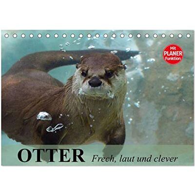 CALVENDO Otter. Frech, laut und clever (Tischkalender 2026 DIN A5 quer), Monatskalender: Putzige Räuber und echte Rabauken im und am Wasser ( Tiere) CALVENDO Otter. Frech, laut und clever (Tischkalender 2026 DIN A5 quer), Monatskalender: Putzige Räuber und echte Rabauken im und am Wasser ( Tiere)