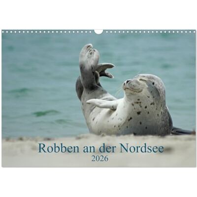 CALVENDO Robben an der Nordsee (Wandkalender 2026 DIN A3 quer), Monatskalender: Ein Kalender für alle Robbenliebhaber ( Tiere) CALVENDO Robben an der Nordsee (Wandkalender 2026 DIN A3 quer), Monatskalender: Ein Kalender für alle Robbenliebhaber ( Tiere)