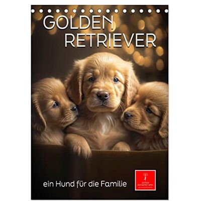 CALVENDO Golden Retriever ein Hund für die Familie (Tischkalender 2026 DIN A5 hoch), Monatskalender: Der Golden Retriever ein intelligenter und liebenswerter Begleiter ( Tiere) CALVENDO Golden Retriever ein Hund für die Familie (Tischkalender 2026 DIN A5 hoch), Monatskalender: Der Golden Retriever ein intelligenter und liebenswerter Begleiter ( Tiere)