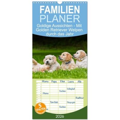 CALVENDO Familienplaner 2026 Goldige Aussichten Mit Golden Retriever Welpen durch das Jahr mit 5 Spalten (Wandkalender, 21 cm x 45 cm), : 13 ... der Rasse durch das Jahr ( Tiere) CALVENDO Familienplaner 2026 Goldige Aussichten Mit Golden Retriever Welpen durch das Jahr mit 5 Spalten (Wandkalender, 21 cm x 45 cm), : 13 ... der Rasse durch das Jahr ( Tiere)