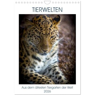 CALVENDO Tierwelten aus dem ältesten Tiergarten der Welt (Wandkalender 2026 DIN A4 hoch), Monatskalender: Beeindruckende Blicke in die Welt der Tiere im Tiergarten Schönbrunn. ( Tiere) CALVENDO Tierwelten aus dem ältesten Tiergarten der Welt (Wandkalender 2026 DIN A4 hoch), Monatskalender: Beeindruckende Blicke in die Welt der Tiere im Tiergarten Schönbrunn. ( Tiere)