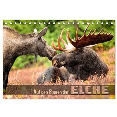 CALVENDO Auf den Spuren der Elche (Tischkalender 2026 DIN A5 quer), Monatskalender: Beeindruckende Bilder wildlebender Elche verschiedener Territorien ( Tiere) CALVENDO Auf den Spuren der Elche (Tischkalender 2026 DIN A5 quer), Monatskalender: Beeindruckende Bilder wildlebender Elche verschiedener Territorien ( Tiere)