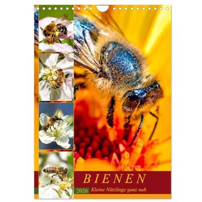 CALVENDO BIENEN Kleine Nützlinge ganz nah (Wandkalender 2026 DIN A4 hoch), Monatskalender: Natürliche Makro-Momentaufnahmen in freier Natur ( Tiere) CALVENDO BIENEN Kleine Nützlinge ganz nah (Wandkalender 2026 DIN A4 hoch), Monatskalender: Natürliche Makro-Momentaufnahmen in freier Natur ( Tiere)