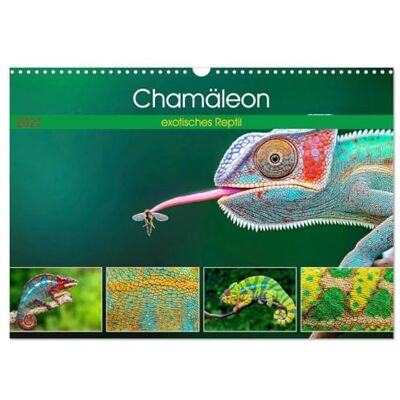 CALVENDO Kalender 2027 · Chamäleon exotisches Reptil Bunt · Geheimnisvoll · Faszinierend · DIN A3 quer · Wandkalender CALVENDO Kalender 2027 · Chamäleon exotisches Reptil Bunt · Geheimnisvoll · Faszinierend · DIN A3 quer · Wandkalender