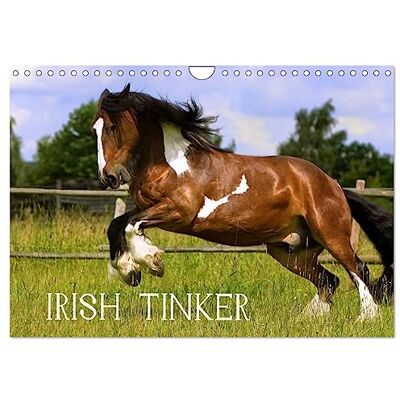CALVENDO Irish Tinker (Wandkalender 2026 DIN A4 quer), Monatskalender: Pferde des fahrenden Volkes ( Tiere) CALVENDO Irish Tinker (Wandkalender 2026 DIN A4 quer), Monatskalender: Pferde des fahrenden Volkes ( Tiere)