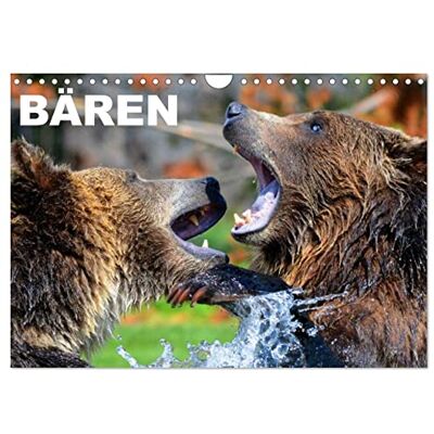 CALVENDO Bären (Wandkalender 2026 DIN A4 quer), Monatskalender: Große Teddybären zum verlieben und bestaunen ( Tiere) CALVENDO Bären (Wandkalender 2026 DIN A4 quer), Monatskalender: Große Teddybären zum verlieben und bestaunen ( Tiere)