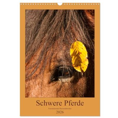 CALVENDO Schwere Pferde Faszinierende Herzensbrecher (Wandkalender 2026 DIN A3 hoch), Monatskalender: Mitreißende Aufnahmen von Kaltblütern ( Tiere) CALVENDO Schwere Pferde Faszinierende Herzensbrecher (Wandkalender 2026 DIN A3 hoch), Monatskalender: Mitreißende Aufnahmen von Kaltblütern ( Tiere)