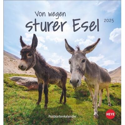 Heye Esel Postkartenkalender 2025 Von wegen sturer Esel: Kleiner Kalender zum Aufstellen und Aufhängen im Postkartenformat. Monats-Tischkalender für Tierfreunde. (Postkartenkalender ) Heye Esel Postkartenkalender 2025 Von wegen sturer Esel: Kleiner Kalender zum Aufstellen und Aufhängen im Postkartenformat. Monats-Tischkalender für Tierfreunde. (Postkartenkalender )