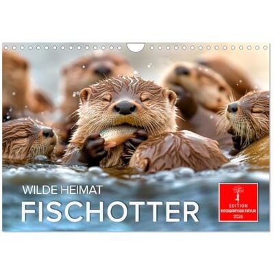 CALVENDO Wilde Heimat Fischotter (Wandkalender 2026 DIN A4 quer), Monatskalender: Bezaubernde Tiere verspielt und neugierig. ( Tiere) CALVENDO Wilde Heimat Fischotter (Wandkalender 2026 DIN A4 quer), Monatskalender: Bezaubernde Tiere verspielt und neugierig. ( Tiere)