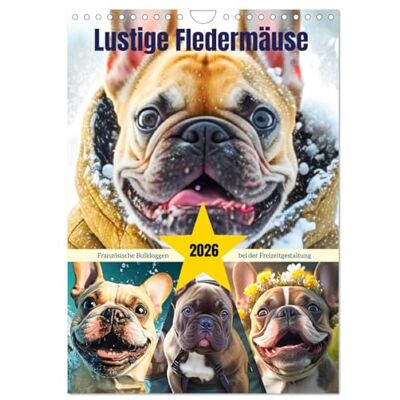 CALVENDO Lustige Fledermäuse. Französische Bulldoggen bei der Freizeitgestaltung (Wandkalender 2026 DIN A4 hoch), Monatskalender: Süße Bulldoggen erfreuen sich des Lebens ( Tiere) CALVENDO Lustige Fledermäuse. Französische Bulldoggen bei der Freizeitgestaltung (Wandkalender 2026 DIN A4 hoch), Monatskalender: Süße Bulldoggen erfreuen sich des Lebens ( Tiere)