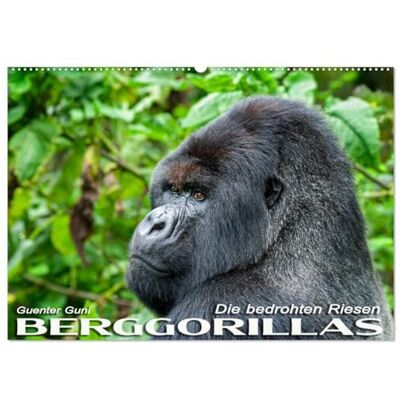 CALVENDO Berggorillas: die bedrohten Riesen (Wandkalender 2026 DIN A2 quer), Monatskalender: In den Virunga-Vulkanen, im Grenzgebiet zwischen Ruanda, ... der riesigen Menschenaffen. ( Tiere) CALVENDO Berggorillas: die bedrohten Riesen (Wandkalender 2026 DIN A2 quer), Monatskalender: In den Virunga-Vulkanen, im Grenzgebiet zwischen Ruanda, ... der riesigen Menschenaffen. ( Tiere)
