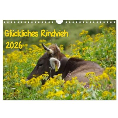 CALVENDO Glückliches Rindvieh 2026 (Wandkalender 2026 DIN A4 quer), Monatskalender: Bilder von Kühen im Oberstdorfer Bergland ( Tiere) CALVENDO Glückliches Rindvieh 2026 (Wandkalender 2026 DIN A4 quer), Monatskalender: Bilder von Kühen im Oberstdorfer Bergland ( Tiere)