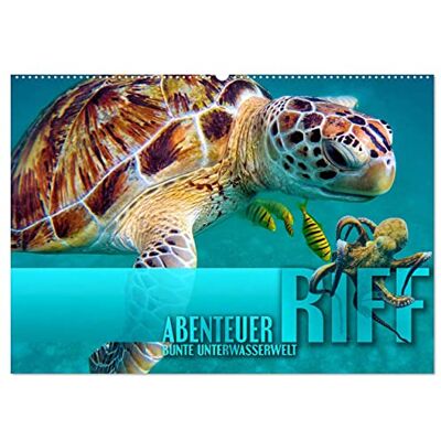 CALVENDO Abenteuer Riff bunte Unterwasserwelt (Wandkalender 2026 DIN A2 quer), Monatskalender: Fantastische Unterwasseraufnahmen zeigen das ... Korallenriffen der Erde ( Natur) CALVENDO Abenteuer Riff bunte Unterwasserwelt (Wandkalender 2026 DIN A2 quer), Monatskalender: Fantastische Unterwasseraufnahmen zeigen das ... Korallenriffen der Erde ( Natur)