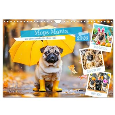 CALVENDO Mops-Mania Der Spaßkalender für Mops-Fans (Wandkalender 2026 DIN A4 quer), Monatskalender: Lustige Bilder vom Mops-Hund für gute Laune ( Tiere) CALVENDO Mops-Mania Der Spaßkalender für Mops-Fans (Wandkalender 2026 DIN A4 quer), Monatskalender: Lustige Bilder vom Mops-Hund für gute Laune ( Tiere)
