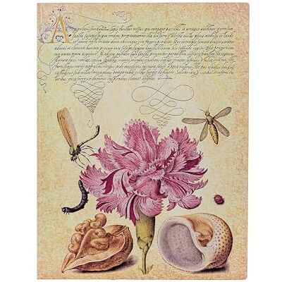 Paperblanks Pink Carnation (Mira Botanica) Ultra Lined Softcover Flexi Journal (Elastic Band Closure): Softcover mit Elastikbandverschluss Paperblanks Pink Carnation (Mira Botanica) Ultra Lined Softcover Flexi Journal (Elastic Band Closure): Softcover mit Elastikbandverschluss