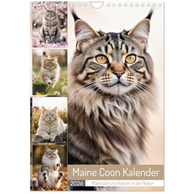 CALVENDO Maine Coon Kalender Majestätische Katzen in der Natur (Wandkalender 2026 DIN A4 hoch), Monatskalender: Katzenkalender mit Maine Coon ... Rasse in jeder Jahreszeit ( Tiere) CALVENDO Maine Coon Kalender Majestätische Katzen in der Natur (Wandkalender 2026 DIN A4 hoch), Monatskalender: Katzenkalender mit Maine Coon ... Rasse in jeder Jahreszeit ( Tiere)