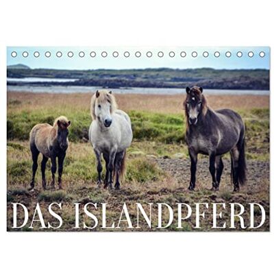 CALVENDO Das Islandpferd (Tischkalender 2026 DIN A5 quer), Monatskalender: Entdecke die Schönheit der robusten Islandpferde in ihrer wilden und rauen Heimat. ( Tiere) CALVENDO Das Islandpferd (Tischkalender 2026 DIN A5 quer), Monatskalender: Entdecke die Schönheit der robusten Islandpferde in ihrer wilden und rauen Heimat. ( Tiere)
