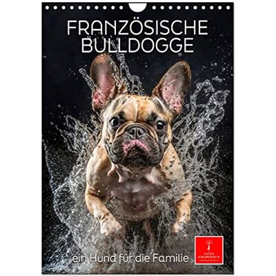 CALVENDO Französische Bulldogge ein Hund für die Familie (Wandkalender 2026 DIN A4 hoch), Monatskalender: Die Französische Bulldogge lebendig, unbeschwert, umgänglich ( Tiere) CALVENDO Französische Bulldogge ein Hund für die Familie (Wandkalender 2026 DIN A4 hoch), Monatskalender: Die Französische Bulldogge lebendig, unbeschwert, umgänglich ( Tiere)