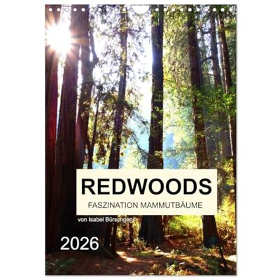 CALVENDO Redwoods Faszination Mammutbäume (Wandkalender 2026 DIN A4 hoch), Monatskalender: Zwölf atemberaubenden Naturaufnahmen der fazinierenden Mammutbäume ( Natur) CALVENDO Redwoods Faszination Mammutbäume (Wandkalender 2026 DIN A4 hoch), Monatskalender: Zwölf atemberaubenden Naturaufnahmen der fazinierenden Mammutbäume ( Natur)