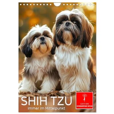 CALVENDO Shih Tzu immer im Mittelpunkt (Wandkalender 2026 DIN A4 hoch), Monatskalender: Ein kleiner Charmeur keck, fröhlich und anhänglich. ( Tiere) CALVENDO Shih Tzu immer im Mittelpunkt (Wandkalender 2026 DIN A4 hoch), Monatskalender: Ein kleiner Charmeur keck, fröhlich und anhänglich. ( Tiere)