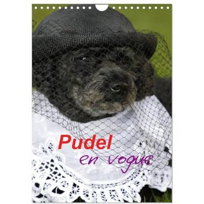 CALVENDO Pudel en vogue (Wandkalender 2026 DIN A4 hoch), Monatskalender: Zwei süße Pudel als Models ( Spass) CALVENDO Pudel en vogue (Wandkalender 2026 DIN A4 hoch), Monatskalender: Zwei süße Pudel als Models ( Spass)