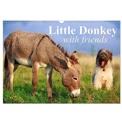 CALVENDO Little Donkey with Friends (Wall Calendar 2026 DIN A3 Landscape), 12 Month Wall Calendar: Sweet donkey with his lovley Friends ( Animals) CALVENDO Little Donkey with Friends (Wall Calendar 2026 DIN A3 Landscape), 12 Month Wall Calendar: Sweet donkey with his lovley Friends ( Animals)