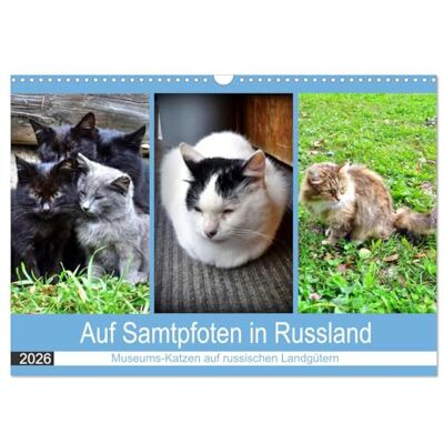 CALVENDO Auf Samtpfoten in Russland Museums-Katzen auf russischen Landgütern (Wandkalender 2026 DIN A3 quer), Monatskalender: Katzen auf den ehemaligen Landgütern russischer Dichter ( Tiere) CALVENDO Auf Samtpfoten in Russland Museums-Katzen auf russischen Landgütern (Wandkalender 2026 DIN A3 quer), Monatskalender: Katzen auf den ehemaligen Landgütern russischer Dichter ( Tiere)
