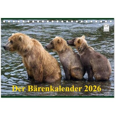 CALVENDO Der Bärenkalender 2026 (Tischkalender 2026 DIN A5 quer), Monatskalender: Grizzlybären ein Fotoshooting der besonderen Art ( Tiere) CALVENDO Der Bärenkalender 2026 (Tischkalender 2026 DIN A5 quer), Monatskalender: Grizzlybären ein Fotoshooting der besonderen Art ( Tiere)