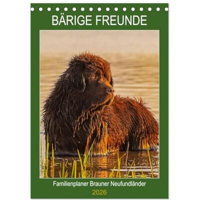 CALVENDO Bärige Freunde Familienplaner Brauner Neufundländer (Tischkalender 2026 DIN A5 hoch), Monatskalender: Der braune Neufundländer in 13 hinreißenden Bildern vorgestellt ( Tiere) CALVENDO Bärige Freunde Familienplaner Brauner Neufundländer (Tischkalender 2026 DIN A5 hoch), Monatskalender: Der braune Neufundländer in 13 hinreißenden Bildern vorgestellt ( Tiere)