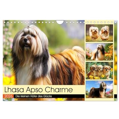 CALVENDO Lhasa Apso Charme. Die kleinen Hüter des Glücks (Wandkalender 2026 DIN A4 quer), Monatskalender: Die Schönheit und das stolze Wesen des Lhasa Apso in malerischen Szenen ( Tiere) CALVENDO Lhasa Apso Charme. Die kleinen Hüter des Glücks (Wandkalender 2026 DIN A4 quer), Monatskalender: Die Schönheit und das stolze Wesen des Lhasa Apso in malerischen Szenen ( Tiere)