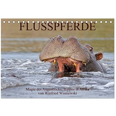 CALVENDO Flusspferde Magie des Augenblicks Hippos in Afrika (Tischkalender 2026 DIN A5 quer), Monatskalender: Eindrucksvolle Fotos von den ... von Winfried Wisniewski ( Tiere) CALVENDO Flusspferde Magie des Augenblicks Hippos in Afrika (Tischkalender 2026 DIN A5 quer), Monatskalender: Eindrucksvolle Fotos von den ... von Winfried Wisniewski ( Tiere)