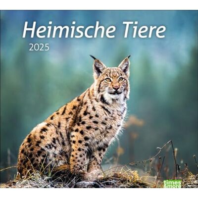 Heye Heimische Tiere Bildkalender 2025: In diesem dekorativen Kalender finden sich die Bewohner heimischer Wiesen und Wälder. Ein times&more Wandkalender ... Tierfotos. (times&more Kalender ) Heye Heimische Tiere Bildkalender 2025: In diesem dekorativen Kalender finden sich die Bewohner heimischer Wiesen und Wälder. Ein times&more Wandkalender ... Tierfotos. (times&more Kalender )