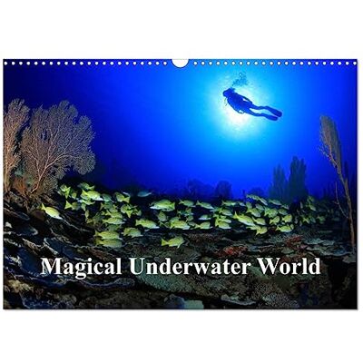 CALVENDO Magical Underwater World (Wall Calendar 2026 DIN A3 Landscape), 12 Month Wall Calendar: Underwater photography from tropical seas ( Animals) CALVENDO Magical Underwater World (Wall Calendar 2026 DIN A3 Landscape), 12 Month Wall Calendar: Underwater photography from tropical seas ( Animals)