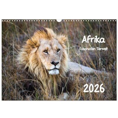 CALVENDO Afrika Faszination Tierwelt (Wandkalender 2026 DIN A3 quer), Monatskalender ( Tiere) CALVENDO Afrika Faszination Tierwelt (Wandkalender 2026 DIN A3 quer), Monatskalender ( Tiere)
